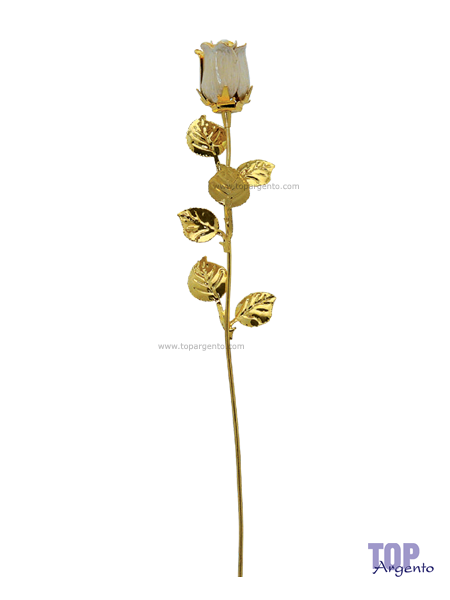Rosa Argento Dorata Bianca Bagutta 1765 BR