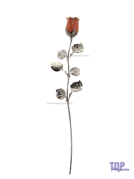 Rosa Argento Rosa Bagutta 1765 P