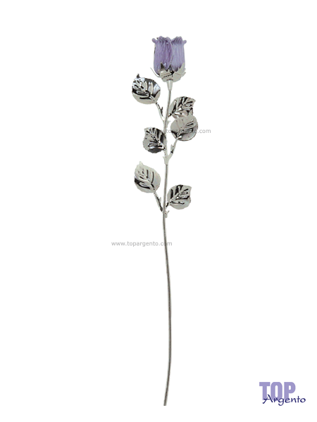 Rosa Argento Viola Bagutta 1765 V