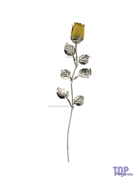 Rosa Argento Gialla Bagutta 1765 Y