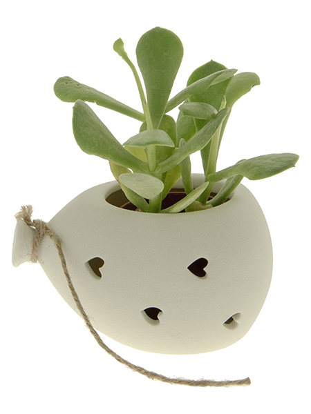 Bomboniere Portapiantina Palloncino ETM 02A112