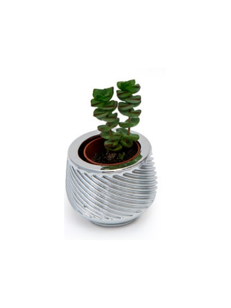 Portapiantina Linea Alambra Sequenze BB1493-1B