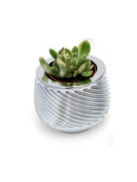 Portapiantina Linea Alambra Sequenze BB1493-2B