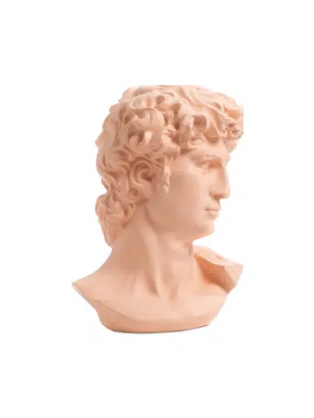 busto bomboniera rosa paben PB19026