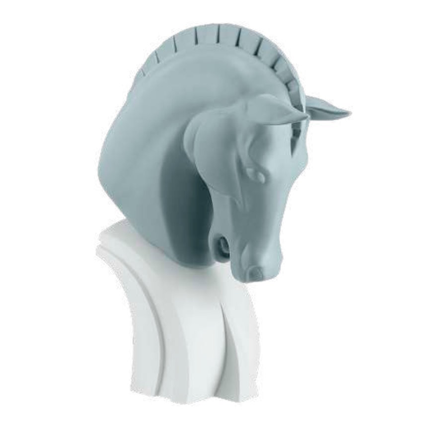 BONGELLI TESTA CAVALLO H.30 CARTA DA ZUCC. cod. ME2344 2CZ