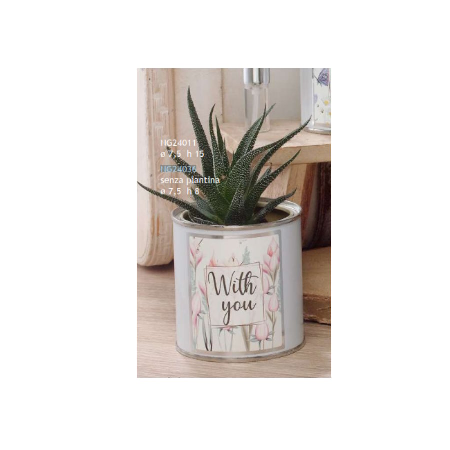 DOLCICOSE FLEUR VASETTO NO PIANTA TERRA D.7.5 H.8 cod. NG24036