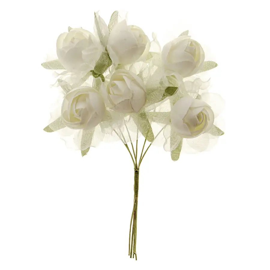B0751BIAN