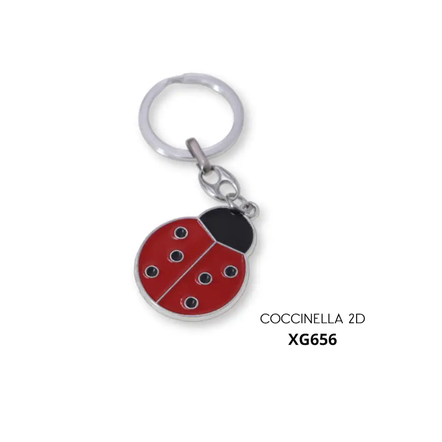 COCCINELLA 2D XG656