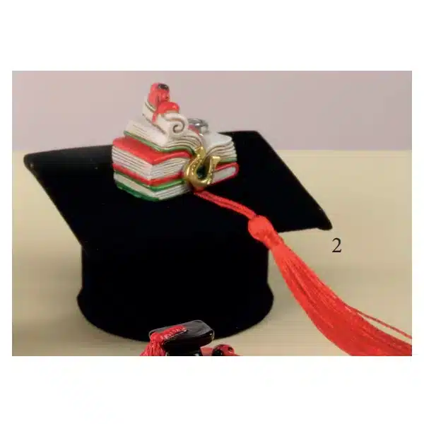 Yvonne Gontier Tocco laurea nero con libri 8533261