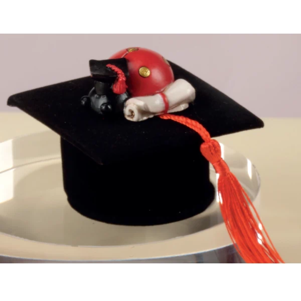 Yvonne Gontier coccinella su Tocco Laurea 8535261