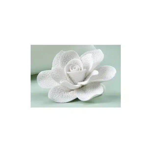 Yvonne Gontier magnete rosa bianca 6085424
