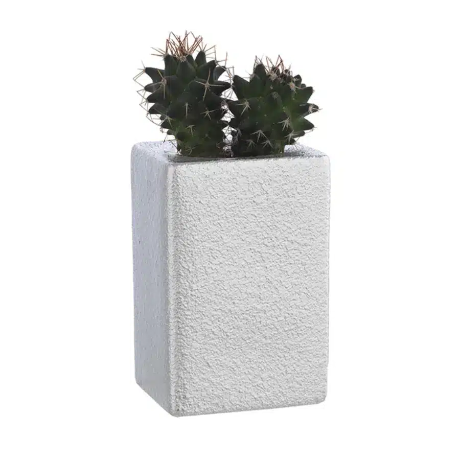 Bagutta portavaso cubo argento con piantina grassa assortita 2009 02 S