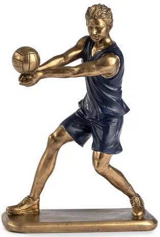 RAGAZZO PALLAVOLISTA PB21489