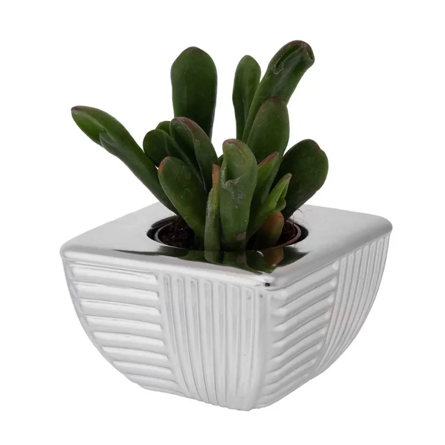 Bagutta portavaso base quadra 2243 02