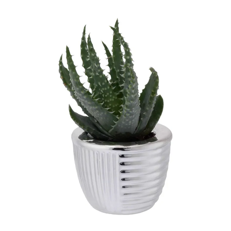 Bagutta portavaso base tonda 2244 01