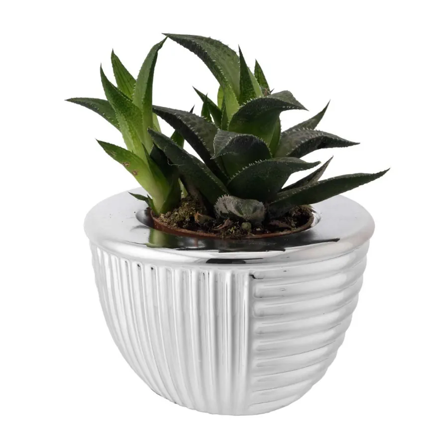 Bagutta portavaso base tonda 2244 02