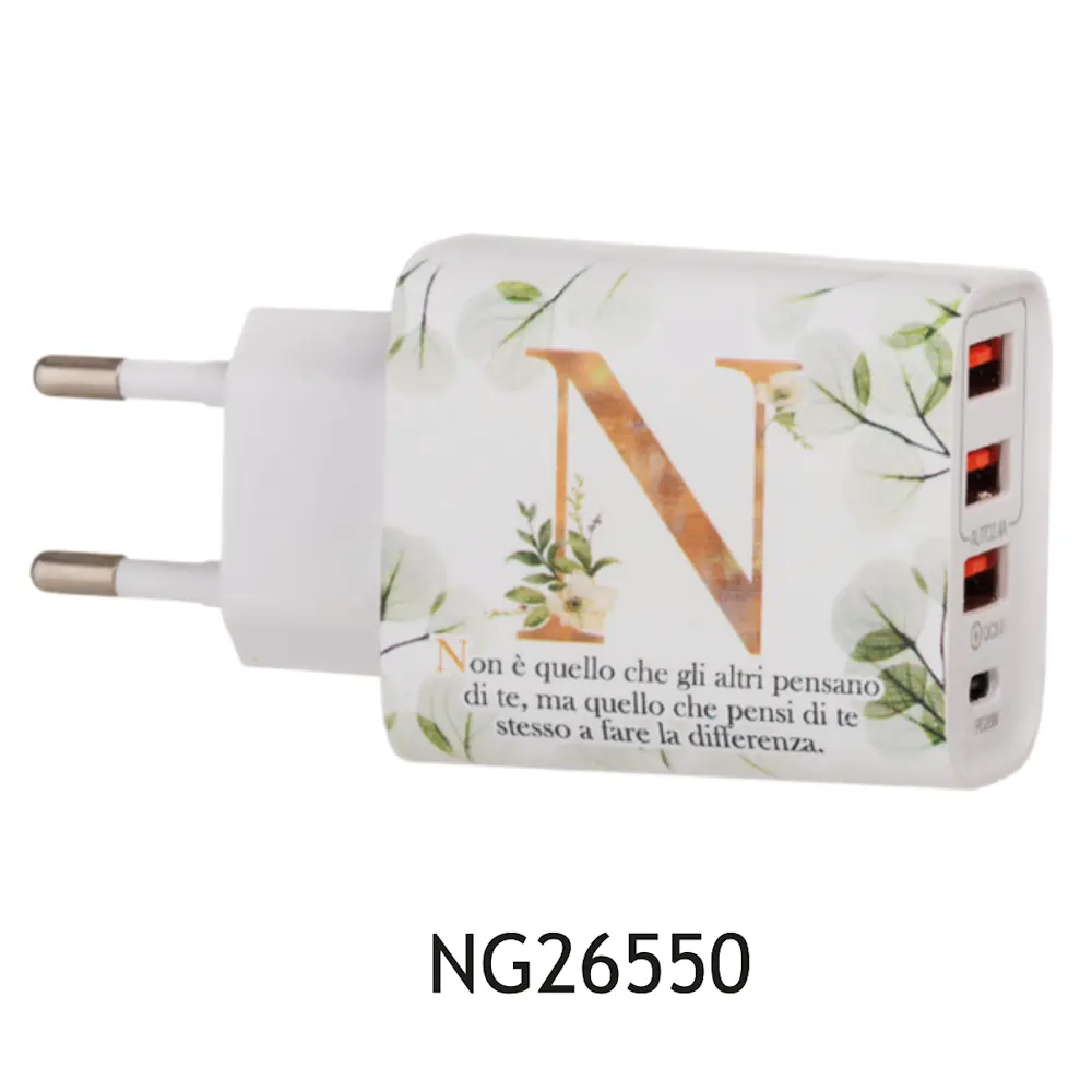 Dolcicose caricabatterie iniziale N NG26550