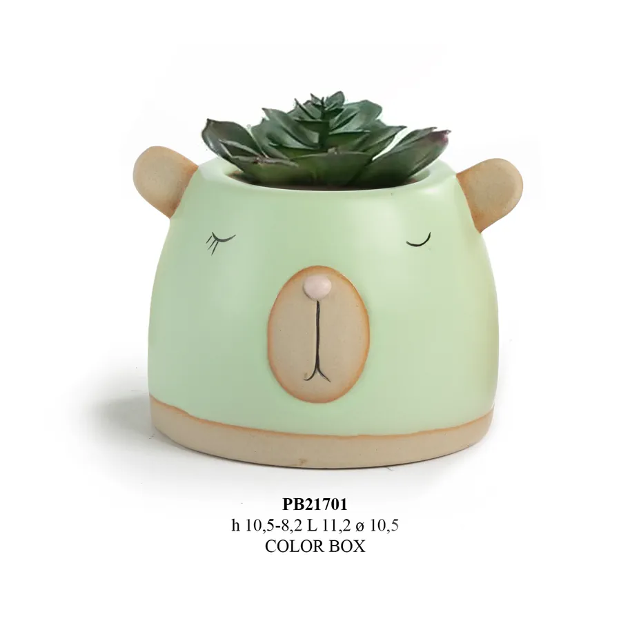 Paben vaso testa di orso con pianta 11.2 cm PB21701